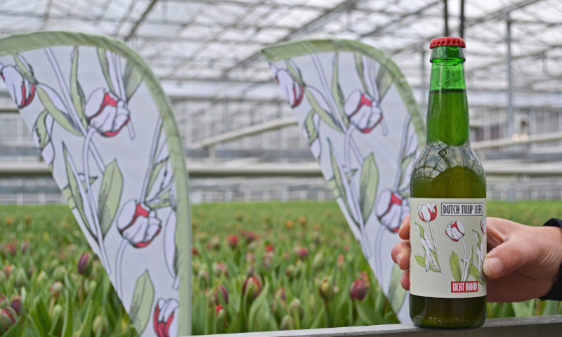 Dutch Tulip Bier in de kas